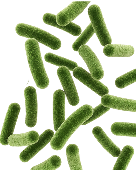 Gut health: